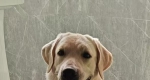 44444