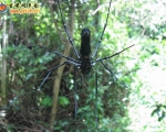 20100808塘朗山聚会活动照片（更新完毕）