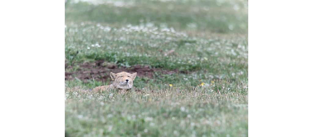 手机1亿像素照相有什么利益？高通科普