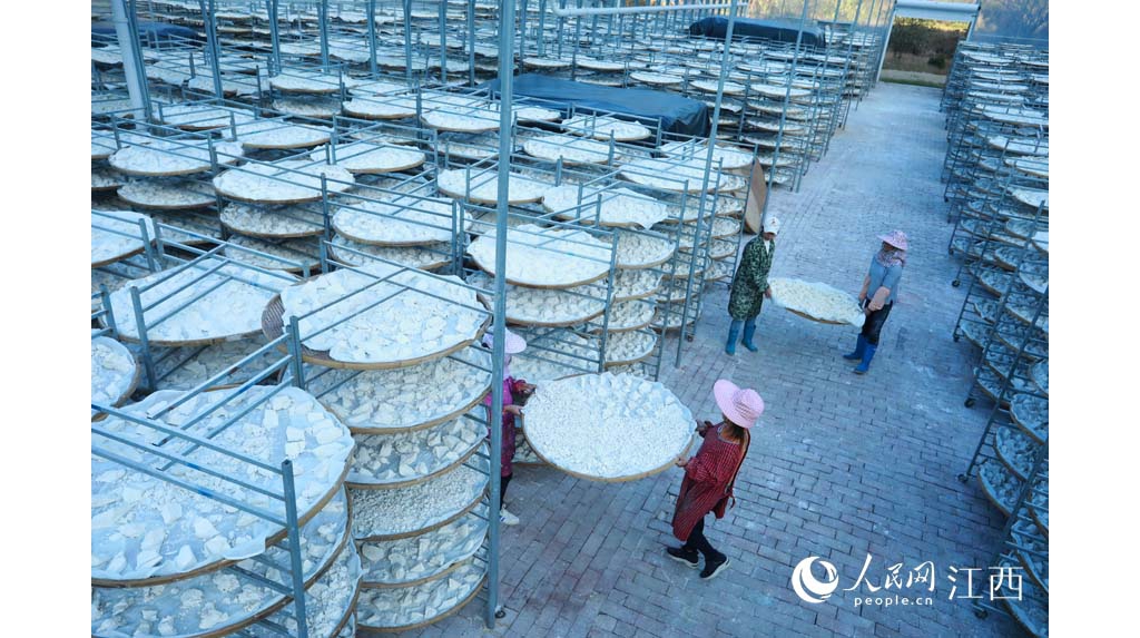 江西乐安：红薯深加工 进步农产物附加值