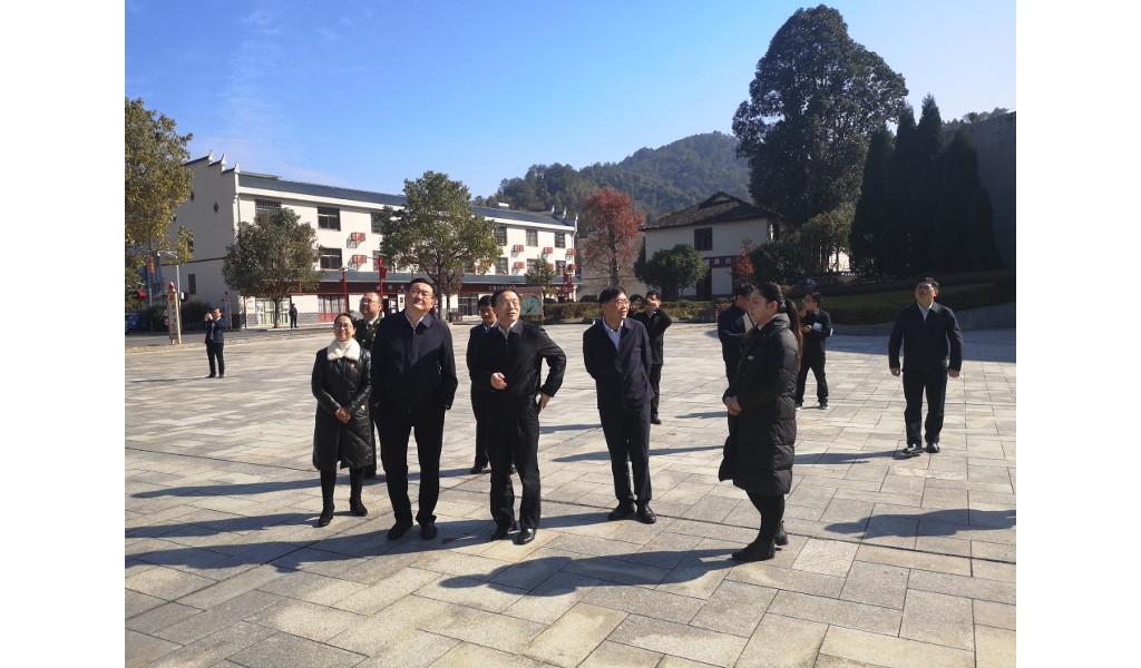胡世忠到永新县调研村落振兴工作