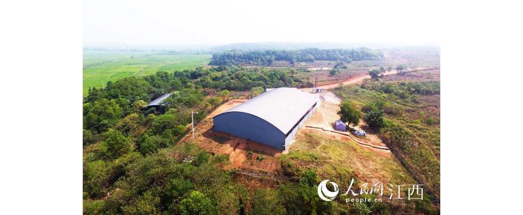 江西樟树发明范围宏大东周时代墓葬 出土2600余件套器物