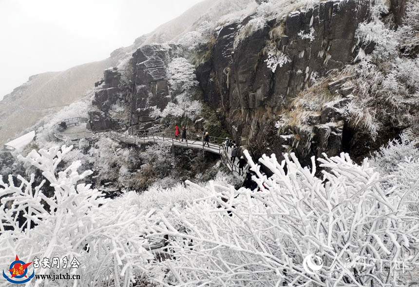 江西武功山迎降雪，银装素裹如临仙境。 谢凌阳 摄
