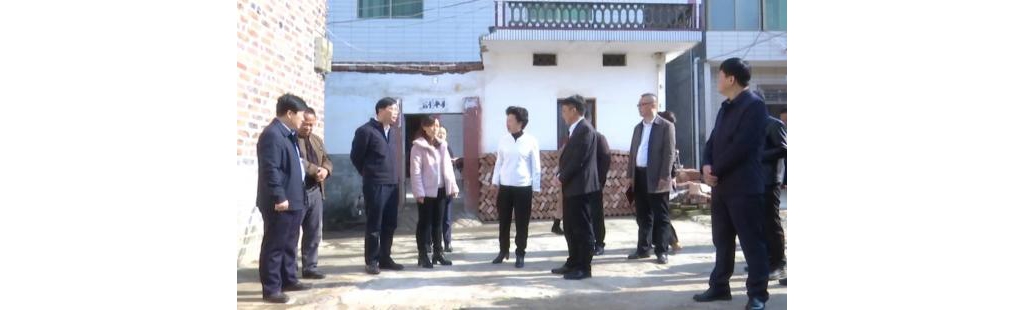 肖玉兰到永新县调研巩固拓展脱贫攻坚结果同亲村振兴有用连接工作