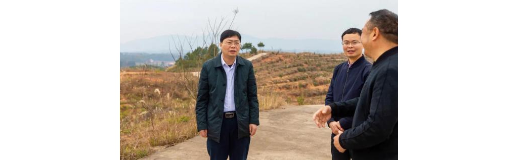 郑军平在沙市镇调研时夸大：凝心聚力、发奋有为 推进各项工作取得新成效、再上新台阶