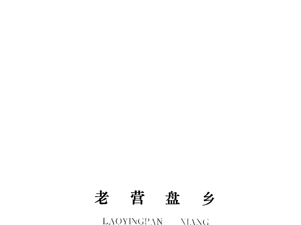 泰和县老营盘乡规划