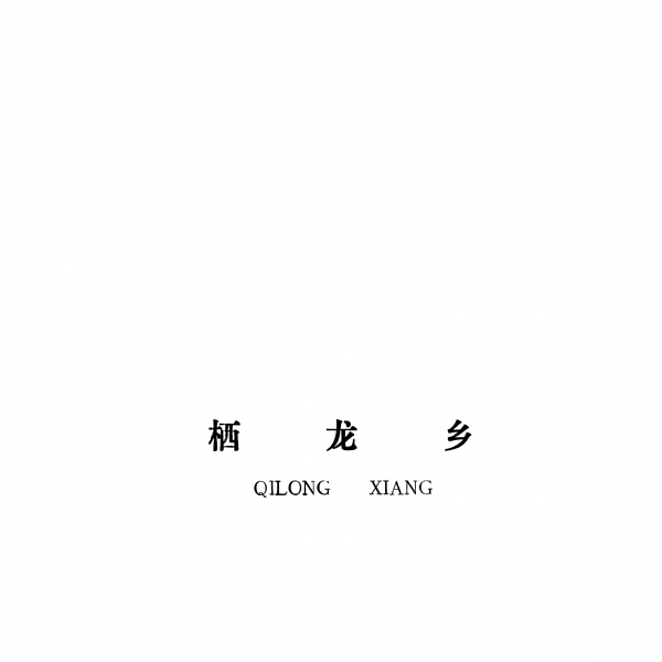 泰和县栖龙乡规划