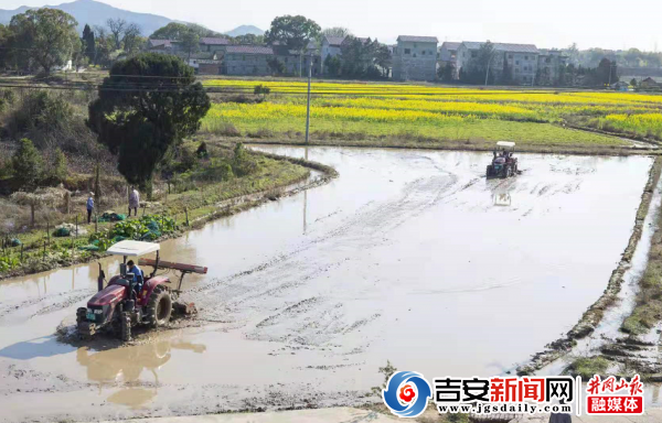 万安：人勤春来早 春耕出产忙